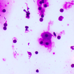 Screenshot%202021 08-01%20at%2009.23.44