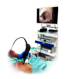 adapter za endoskopsku kameru univerzalni adapter diacor 